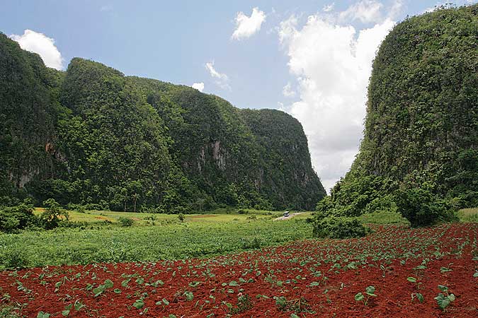 Vi&ntilde;ales