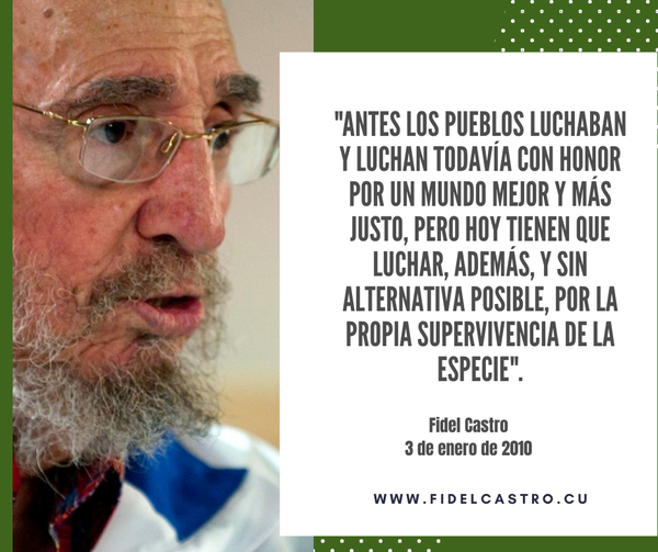 Reflexionen Fidel Castro