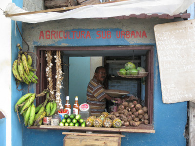 Baracoa 2012