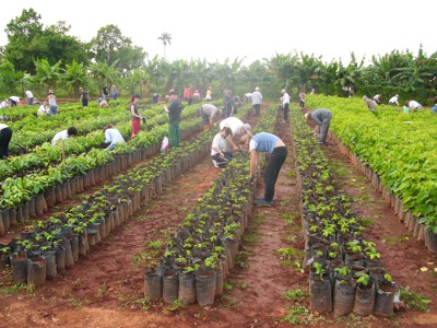 José Martí Brigade 2010