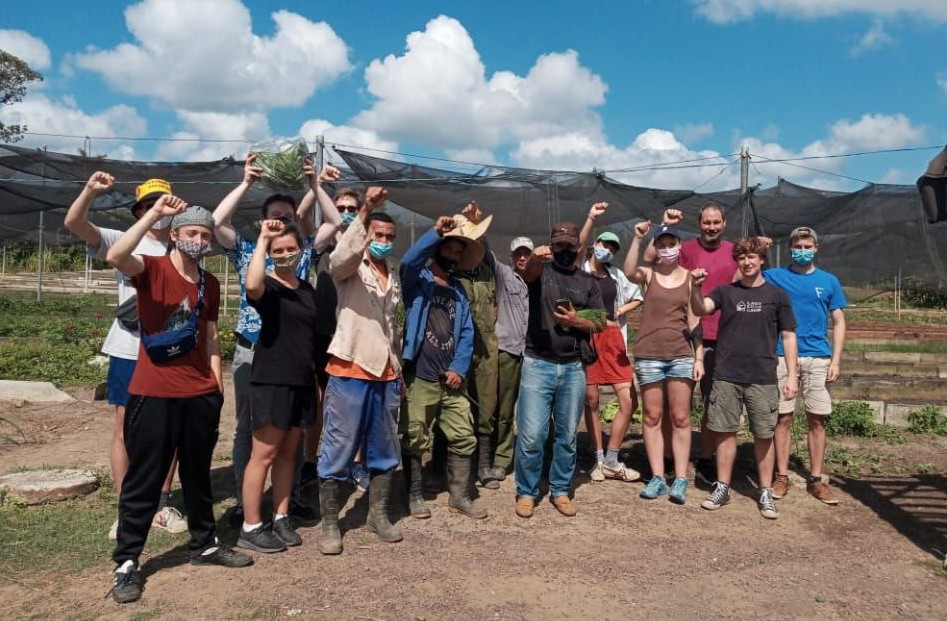 Die Bunkistas auf einer Finca