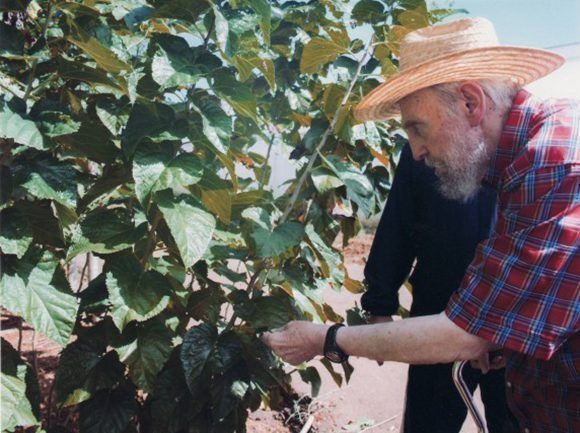 Fidel Castro besucht die Universität für Informatikwissenschaften