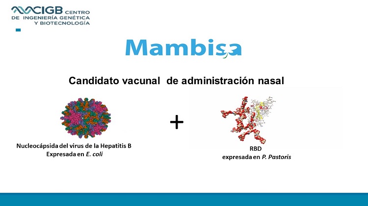 Corona-Impfstoff Mambisa