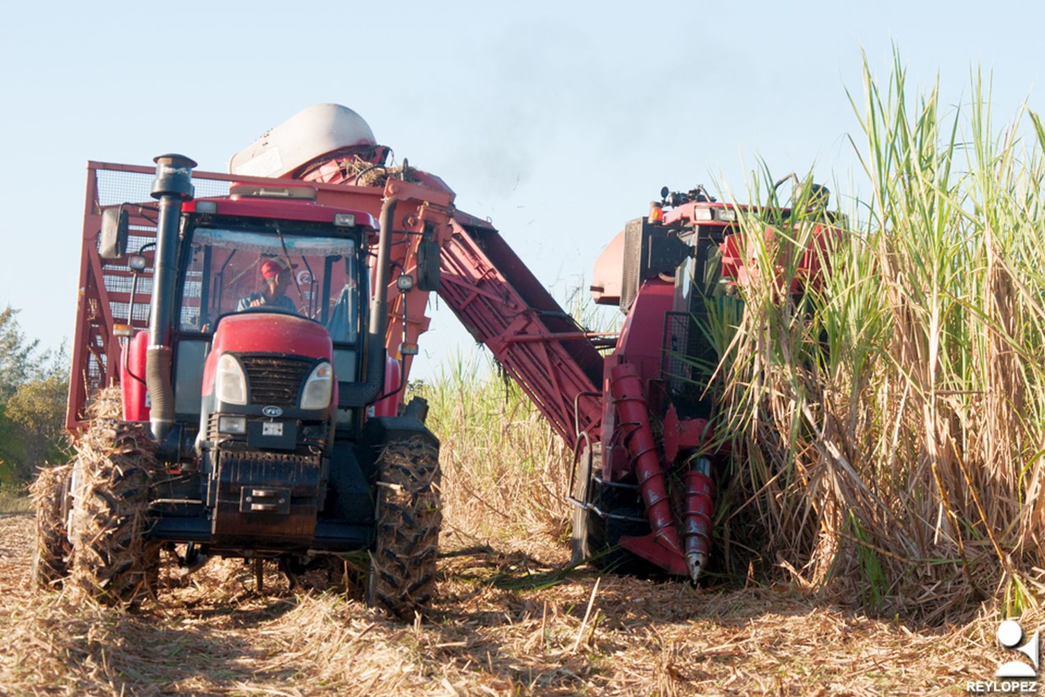 Landwirtschaft