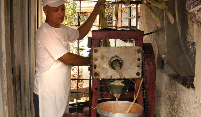 frisch gepresster Zuckerrohrsaft