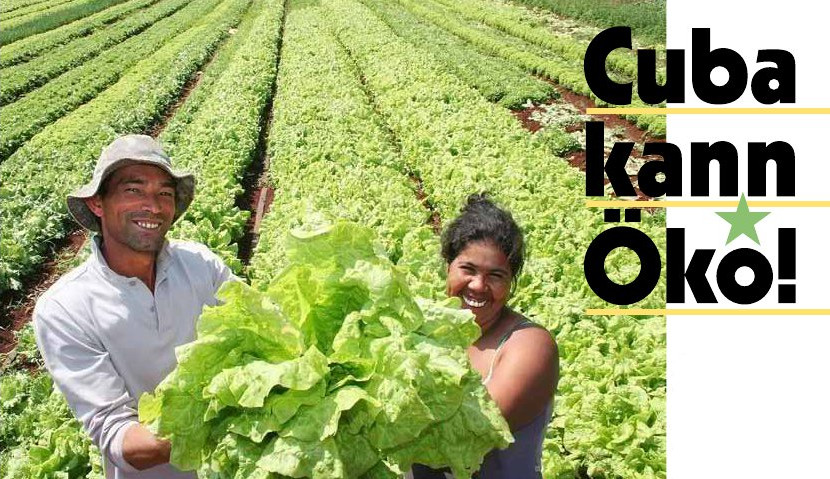 „Cuba kann Öko“ – Umweltpolitik in Cuba