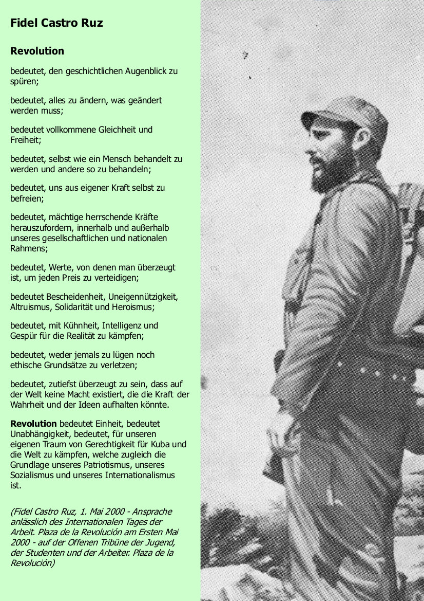 Fidel Castro: Revolucion bedeutet